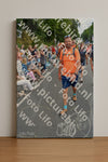 Evenement foto: Nijmeegse Vierdaagse 993
