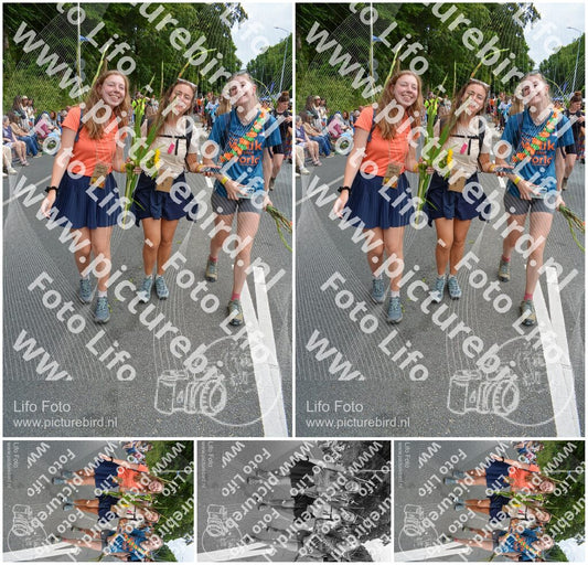 Evenement foto: Nijmeegse Vierdaagse 993