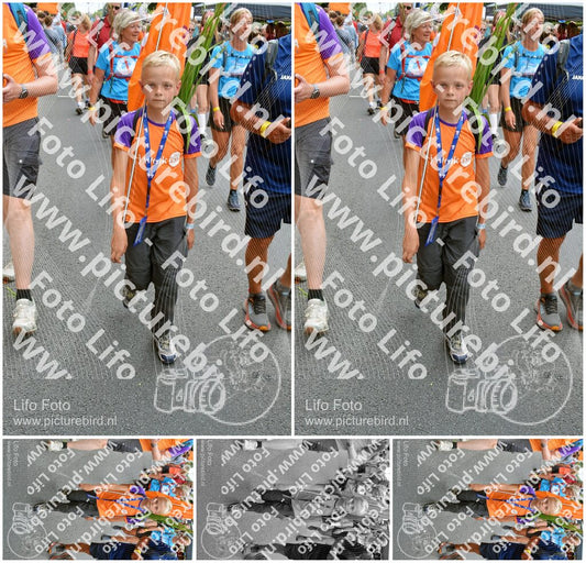 Evenement foto: Nijmeegse Vierdaagse 993