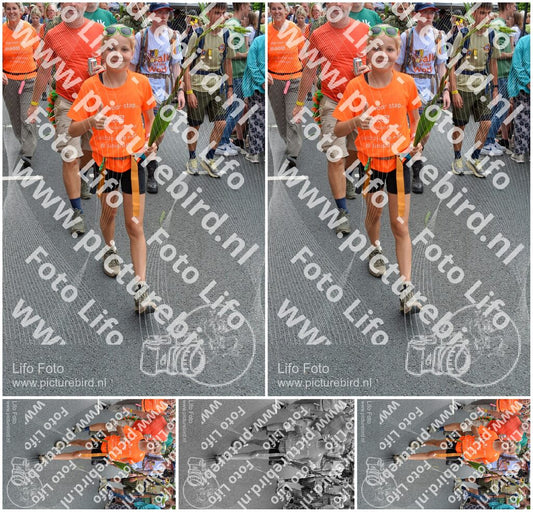Evenement foto: Nijmeegse Vierdaagse 993