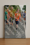 Evenement foto: Nijmeegse Vierdaagse 993