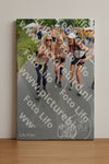 Evenement foto: Nijmeegse Vierdaagse 993