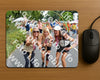 Evenement foto: Nijmeegse Vierdaagse 993