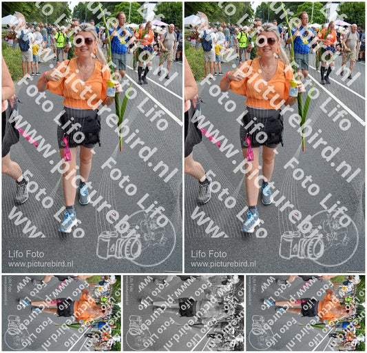 Evenement foto: Nijmeegse Vierdaagse 993