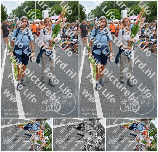 Evenement foto: Nijmeegse Vierdaagse 993