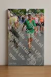 Evenement foto: Nijmeegse Vierdaagse 993