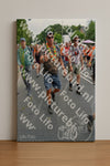 Evenement foto: Nijmeegse Vierdaagse 993