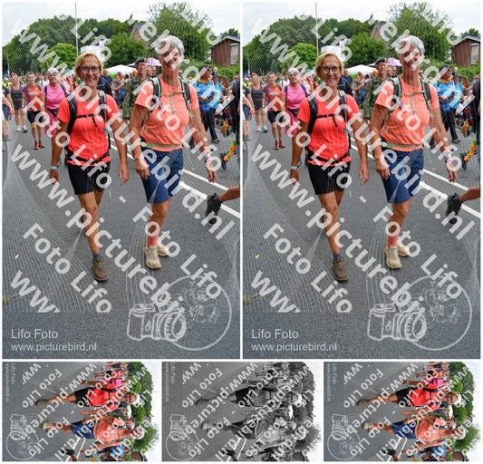 Evenement foto: Nijmeegse Vierdaagse 993