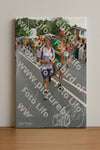 Evenement foto: Nijmeegse Vierdaagse 993