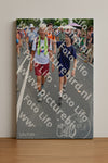 Evenement foto: Nijmeegse Vierdaagse 993