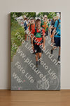 Evenement foto: Nijmeegse Vierdaagse 992