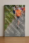 Evenement foto: Nijmeegse Vierdaagse 992