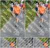 Evenement foto: Nijmeegse Vierdaagse 992