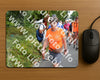 Evenement foto: Nijmeegse Vierdaagse 992