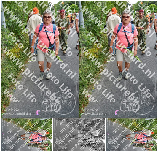 Evenement foto: Nijmeegse Vierdaagse 992