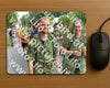 Evenement foto: Nijmeegse Vierdaagse 991