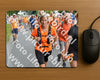 Evenement foto: Nijmeegse Vierdaagse 991