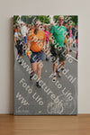 Evenement foto: Nijmeegse Vierdaagse 991