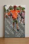 Evenement foto: Nijmeegse Vierdaagse 991