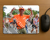 Evenement foto: Nijmeegse Vierdaagse 991