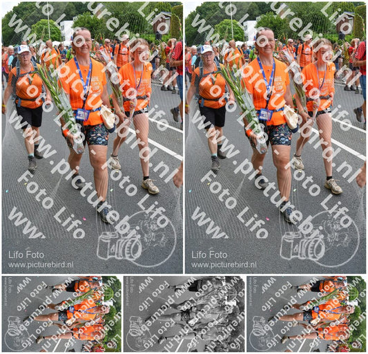 Evenement foto: Nijmeegse Vierdaagse 991