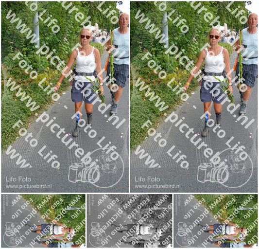 Evenement foto: Nijmeegse Vierdaagse 991