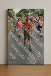 Evenement foto: Nijmeegse Vierdaagse 991