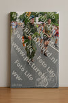 Evenement foto: Nijmeegse Vierdaagse 991