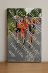 Evenement foto: Nijmeegse Vierdaagse 991