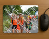 Evenement foto: Nijmeegse Vierdaagse 991