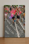 Evenement foto: Nijmeegse Vierdaagse 991