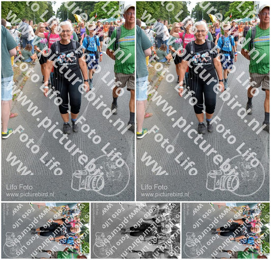 Evenement foto: Nijmeegse Vierdaagse 990