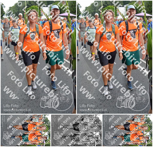 Evenement foto: Nijmeegse Vierdaagse 990