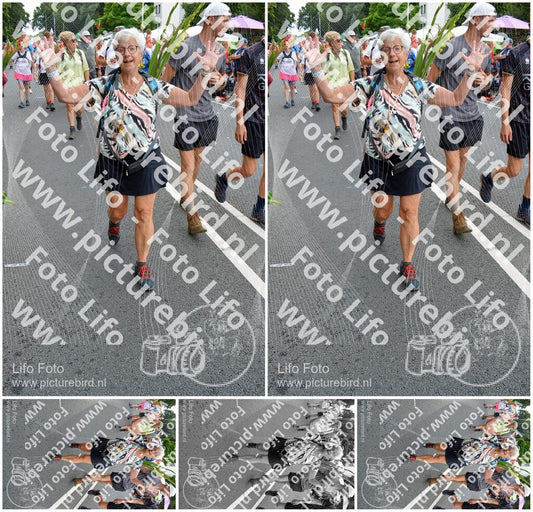 Evenement foto: Nijmeegse Vierdaagse 990