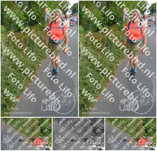 Evenement foto: Nijmeegse Vierdaagse 990