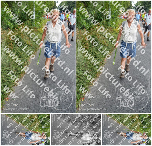 Evenement foto: Nijmeegse Vierdaagse 990