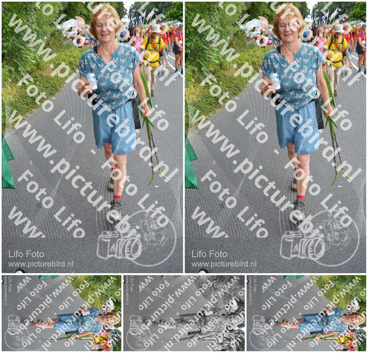 Evenement foto: Nijmeegse Vierdaagse 990