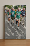 Evenement foto: Nijmeegse Vierdaagse 990