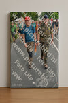 Evenement foto: Nijmeegse Vierdaagse 990
