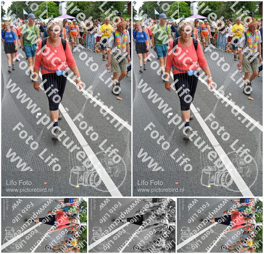 Evenement foto: Nijmeegse Vierdaagse 990