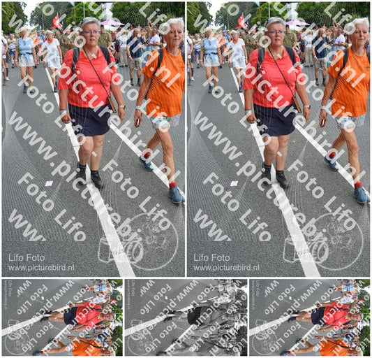 Evenement foto: Nijmeegse Vierdaagse 990