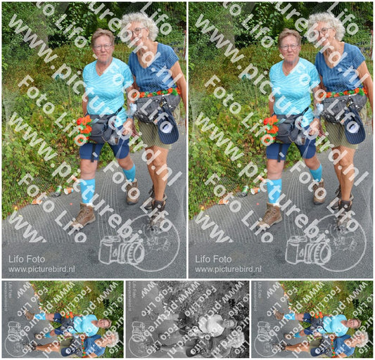 Evenement foto: Nijmeegse Vierdaagse 990