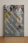 Evenement foto: Nijmeegse Vierdaagse 990