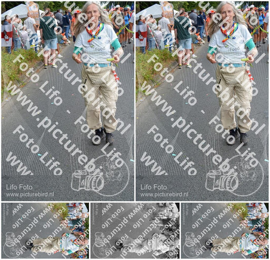 Evenement foto: Nijmeegse Vierdaagse 990
