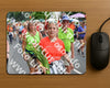 Evenement foto: Nijmeegse Vierdaagse 990