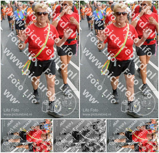 Evenement foto: Nijmeegse Vierdaagse 990