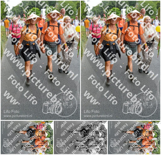 Evenement foto: Nijmeegse Vierdaagse 990