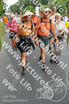 Evenement foto: Nijmeegse Vierdaagse 990