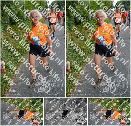 Evenement foto: Nijmeegse Vierdaagse 990
