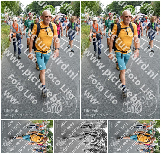 Evenement foto: Nijmeegse Vierdaagse 990